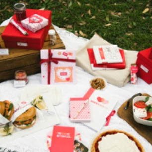 vday_picnic